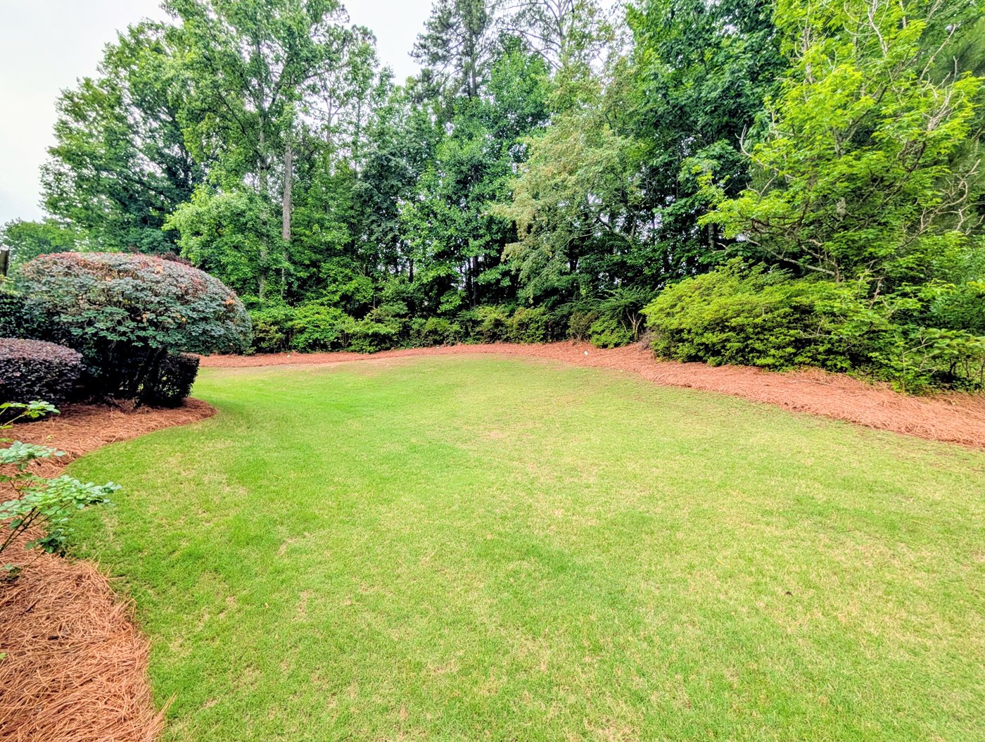 Large Backyard Douglasville
